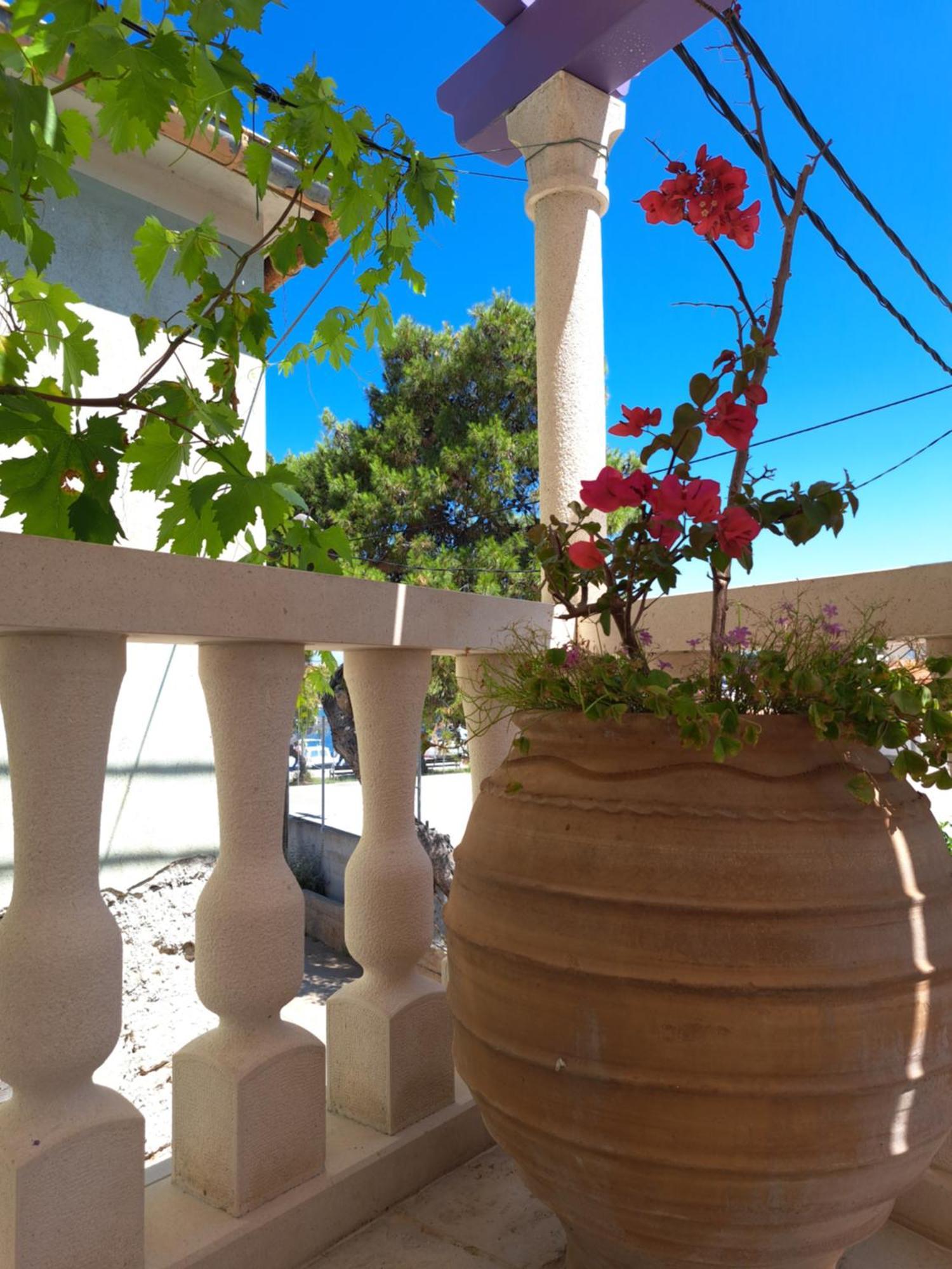 Jardin Kapetanova Kuca Appartement Veli Iž Buitenkant foto